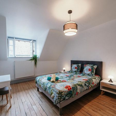 Appartement D'Aubilly Hyper Centre-Ville Шарлевіль-Мезьєр Екстер'єр фото