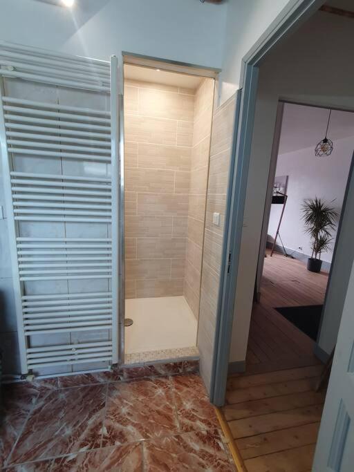 Appartement D'Aubilly Hyper Centre-Ville Шарлевіль-Мезьєр Екстер'єр фото
